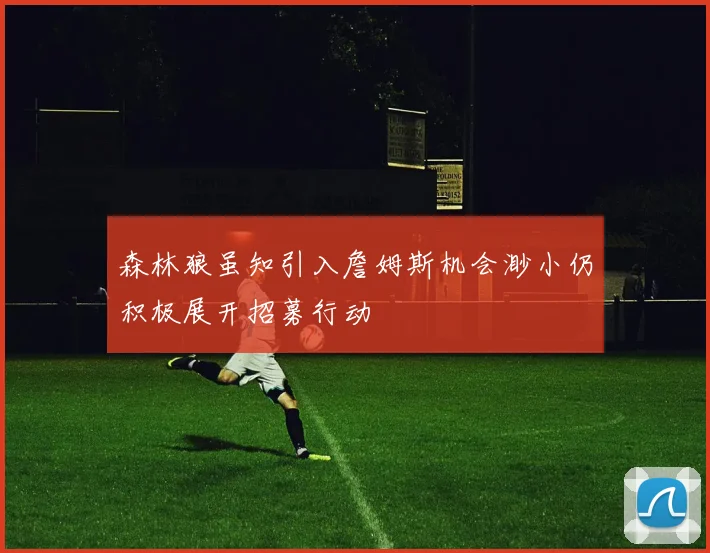 森林狼虽知引入詹姆斯机会渺小仍积极展开招募行动